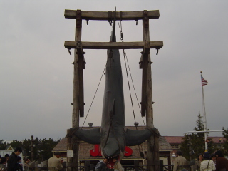 �W���[�Y�B