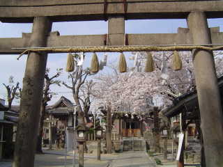 �ߏ��̐_�Ё�����