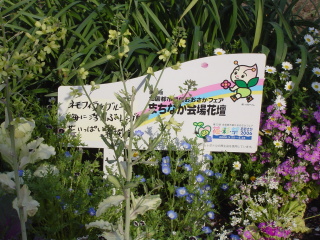 �`�ԍʍ�in���`