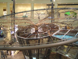 ��\���I���L�O�ق̃V���{��������V�S�N�̗��̋��؂ł��B