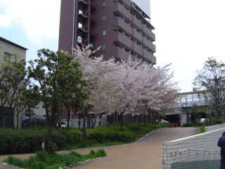 ���������炟�`