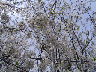 ���(�ߏ�)�̍��ł��O�O