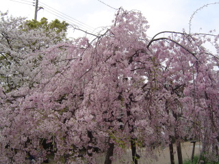 �V�_���U�N����